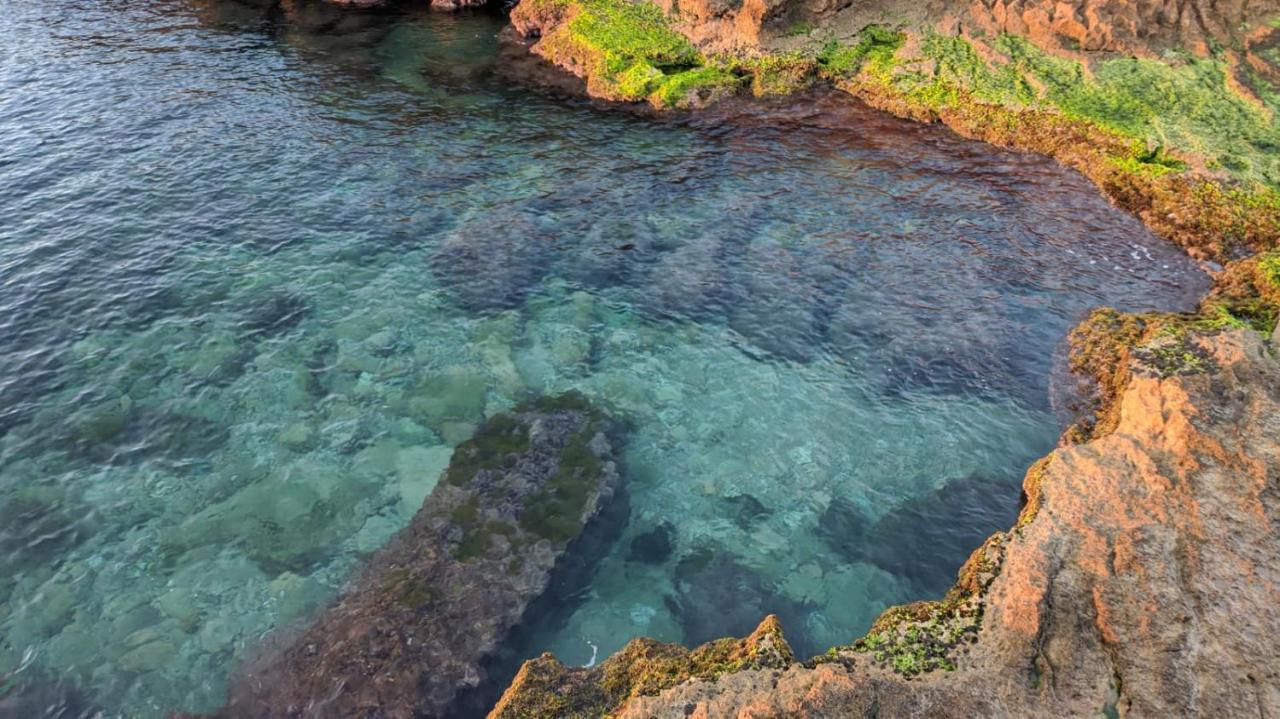 monolocale a 100 MT dalla playa di Los locos Torrevieja Esterno foto